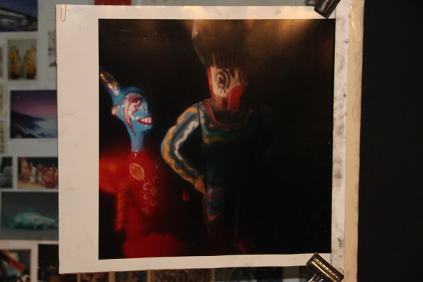 One of Barbara's reference photos