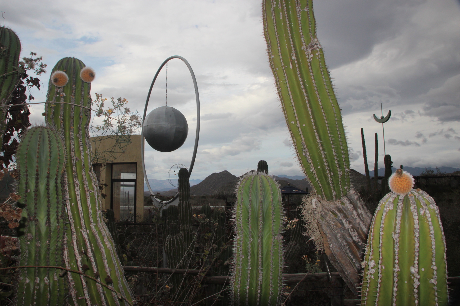 "Art and Beer," a roadside bar and sculpture garden in Baja del Sur, Mexico