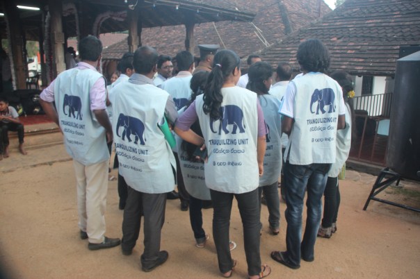 Preparations - planning what to do in case an elephant charges