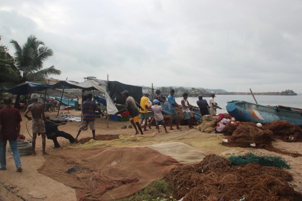 Hauling in the nets, Galle