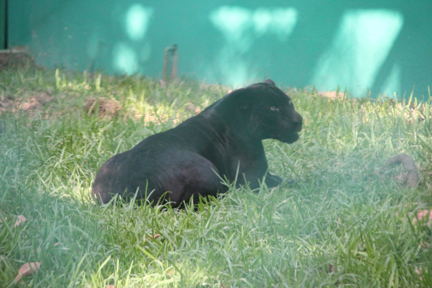 Parque Museo La Venta, Villahermosa