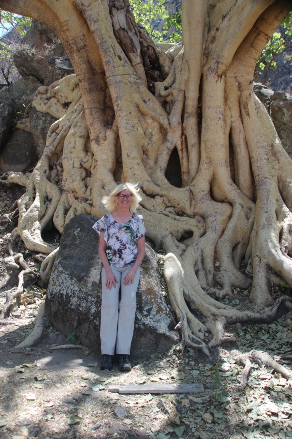 With an amate tree at Chalcatzingo