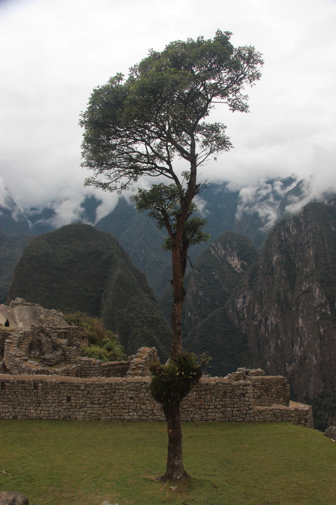 Machu Picchu