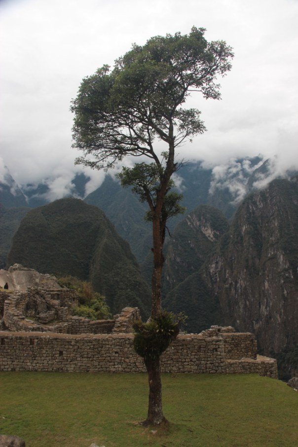 Machu Picchu