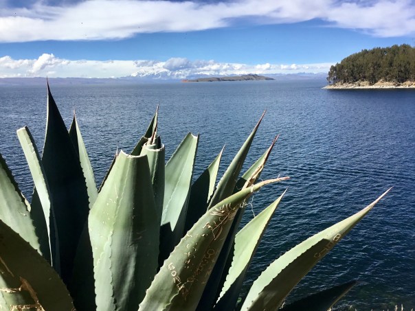 Isla del Sol in Bolivia
