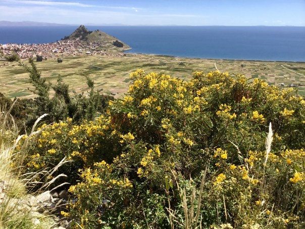 Lake Titicaca above Cocabana, Bolivia