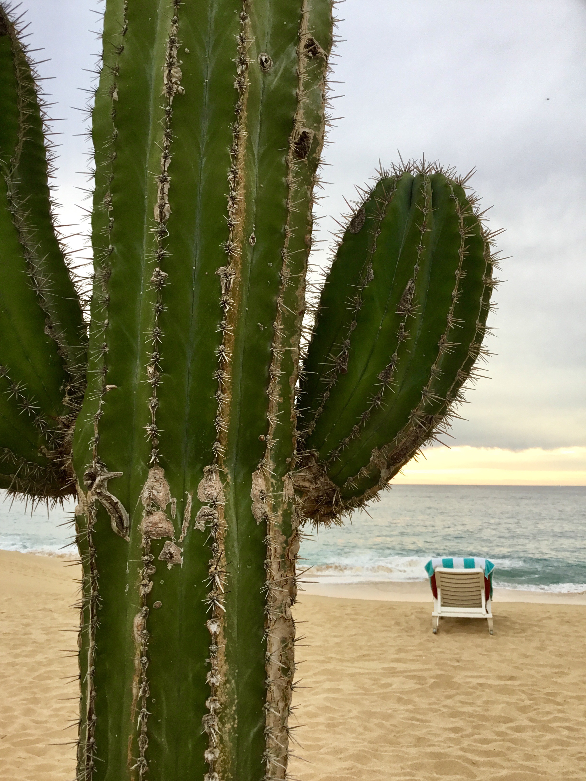 Los Cabos, Mexico