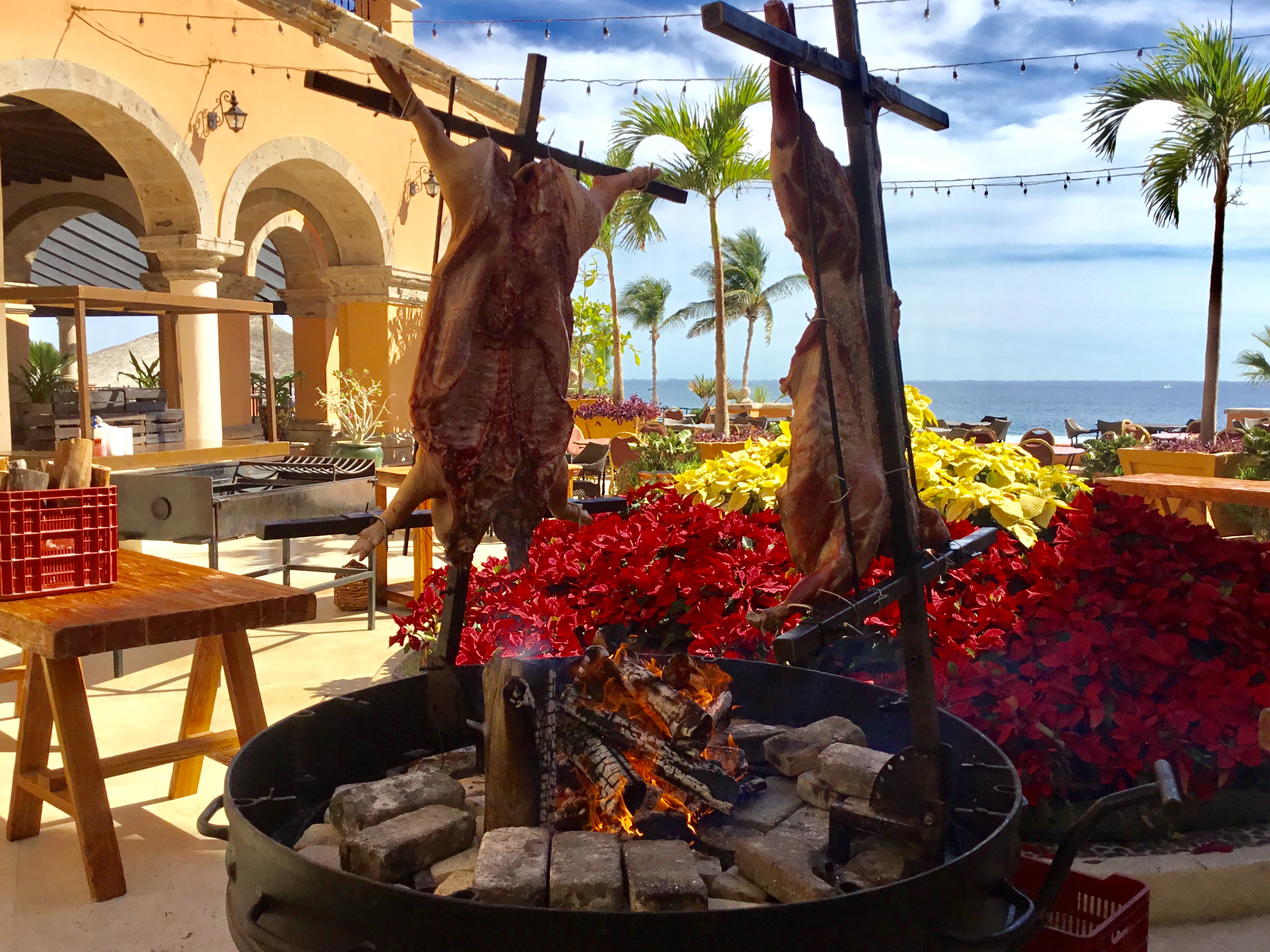 New Year’s Eve in Los Cabos, Mexico