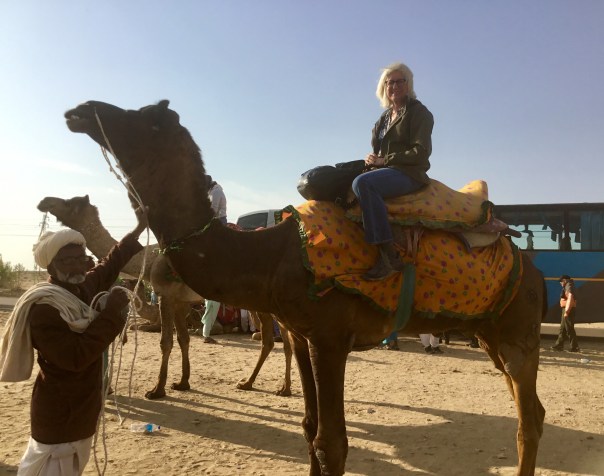 With Carlos the camel in India’s Thar Desert