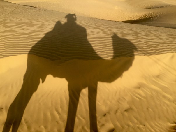 Riding a camel in India’s Thar Desert