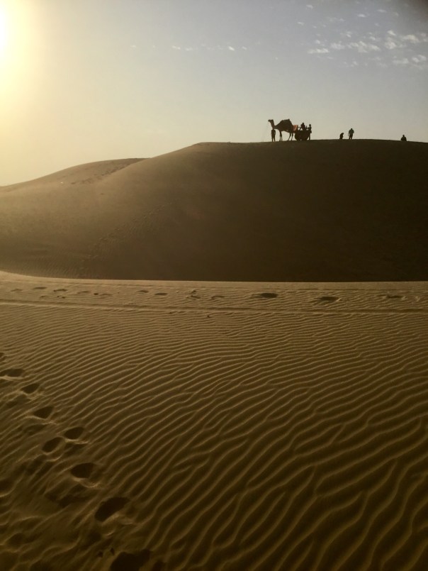 Thar Desert, Rajasthan, India