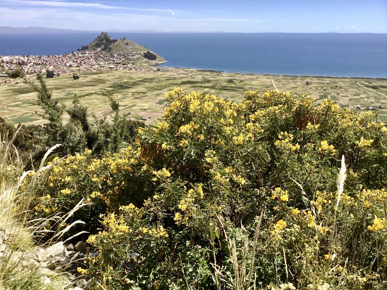 Overlooking Copacabana, Bolivia and Lake Titicaca