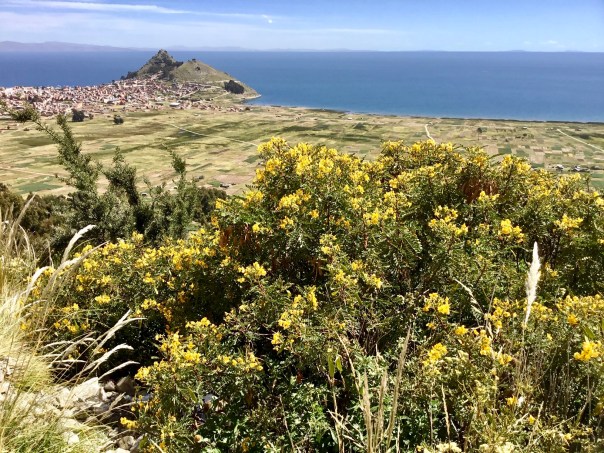 Overlooking Copacabana, Bolivia and Lake Titicaca