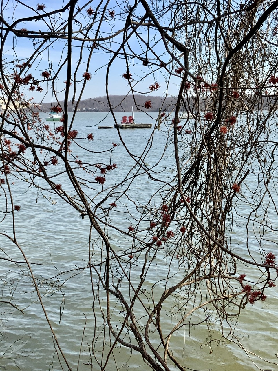 A place to read, Alexandria, VA
