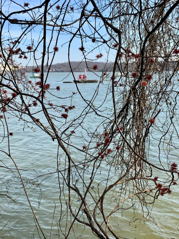 A place to read, Alexandria, VA