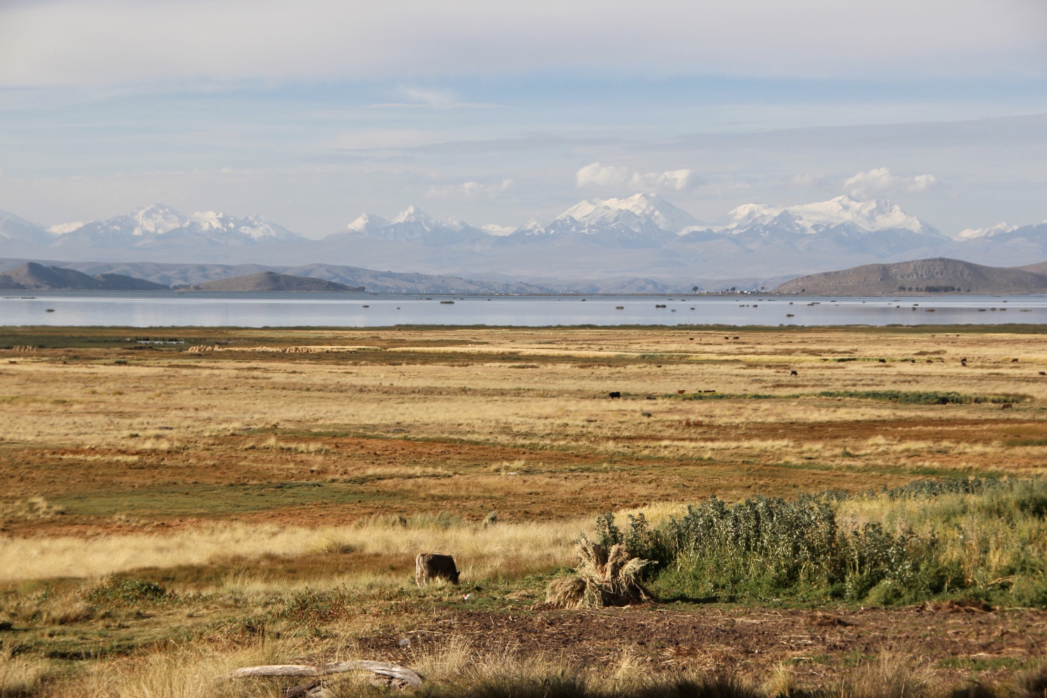 On the road in Bolivia