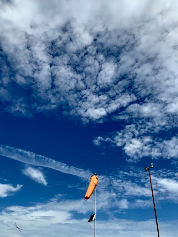 Dragonfly on final approach